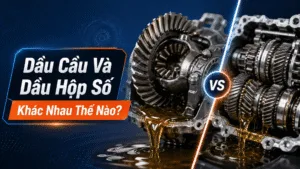 Dầu cầu và dầu hộp số khác nhau thế nào? cách phân biệt đúng để tránh hư hỏng